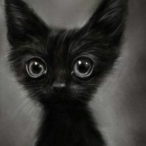 Meet your Posher, Elaine